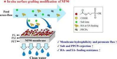 17624801522ebbd41362c4d5604a8a80d1a945f260.jpeg 2ebbd41362c4d5604a8a80d1a945f260.jpeg