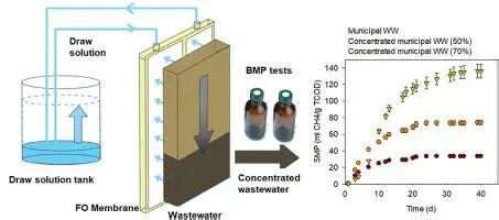 1762480185dbe8d70f3ddd35882058f4c52755a643.jpeg dbe8d70f3ddd35882058f4c52755a643.jpeg