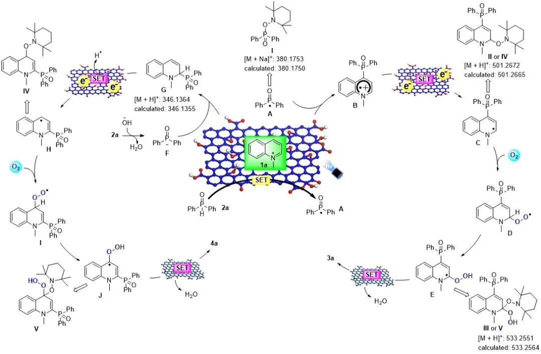 1763427149微信图片_2025-11-18_084822_502.jpg 微信图片_2025-11-18_084822_502.jpg