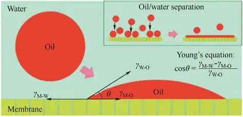 1763427270微信图片_2025-11-18_084850_454.jpg 微信图片_2025-11-18_084850_454.jpg
