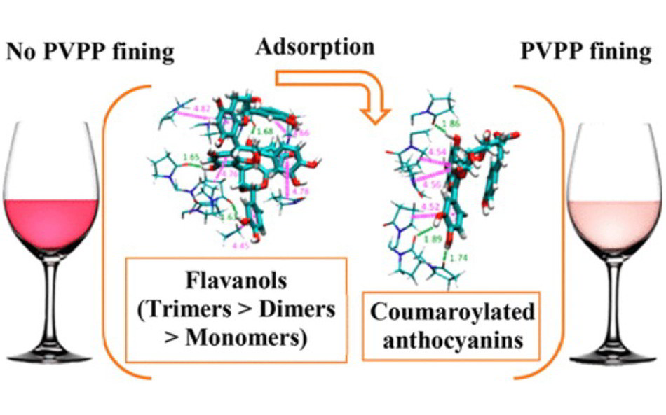 PVPP在葡萄酒的应用方式以及分子动力学模拟